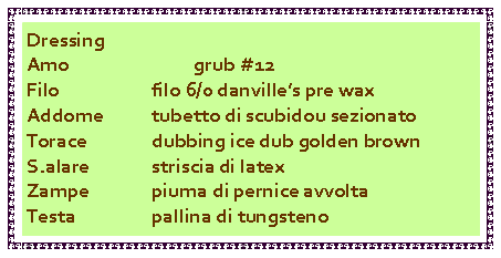 Casella di testo: DressingAmo		 	grub #12Filo			filo 6/0 danvilles pre waxAddome		tubetto di scubidou sezionatoTorace		dubbing ice dub golden brownS.alare		striscia di latexZampe		piuma di pernice avvoltaTesta		pallina di tungsteno	