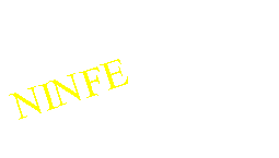 Casella di testo: NINFE