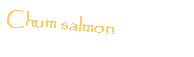 Casella di testo: Chum salmon